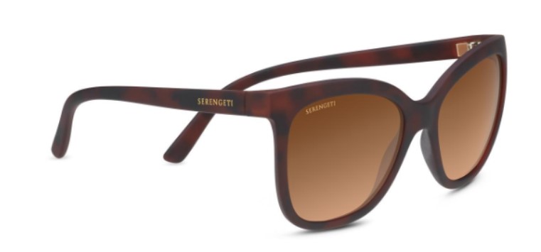 ST 8778 AGATA drivers gradient